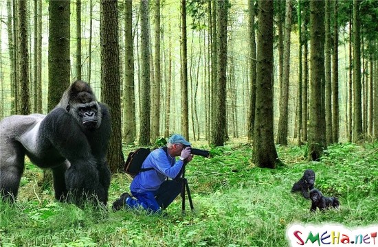 Фото приколы с животными