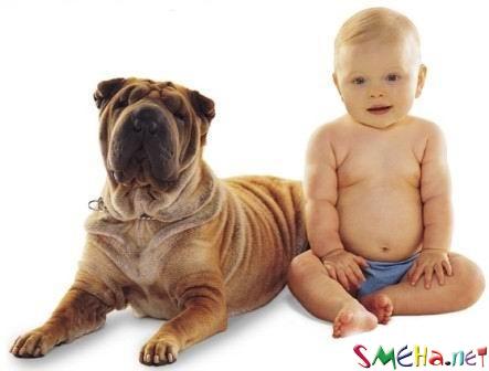 sabaka & chelovek