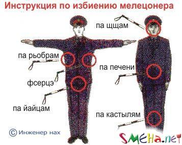 Прикольные фото