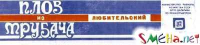 Прикольные фото