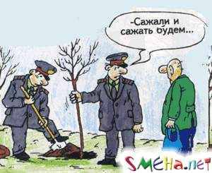 Прикольные фото