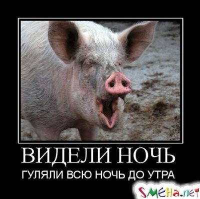 Фото приколы с животными