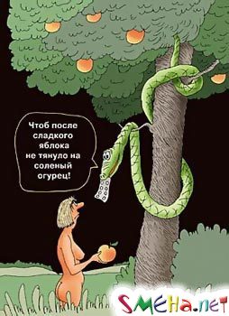 Пикантные фото приколы