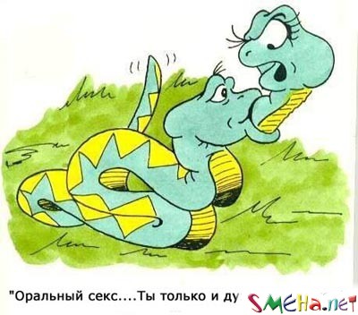 Пикантные фото приколы