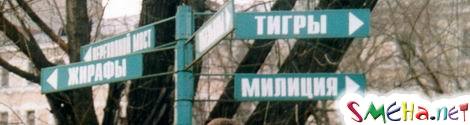 Прикольные фото