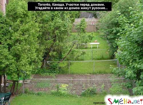 Прикольные фото