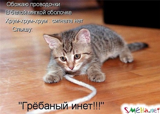 Коппьютерные фото приколы