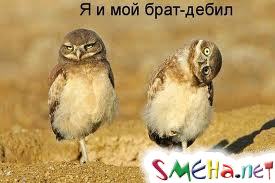 блаблалбалбаблалба