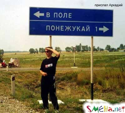 Прикольные фото
