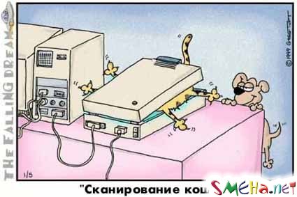 Коппьютерные фото приколы