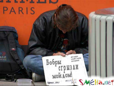 Прикольные фото