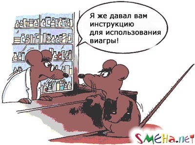 Пикантные фото приколы