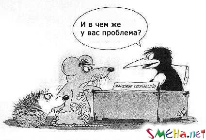 Пикантные фото приколы