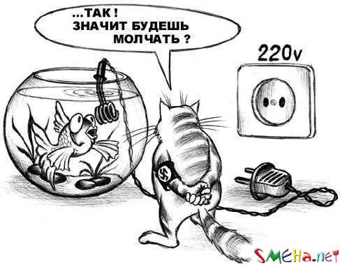 Прикольные фото