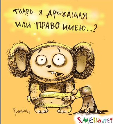 Прикольные фото