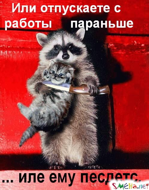 Фото приколы с животными