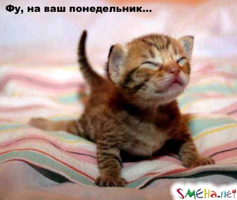 Фото приколы с животными