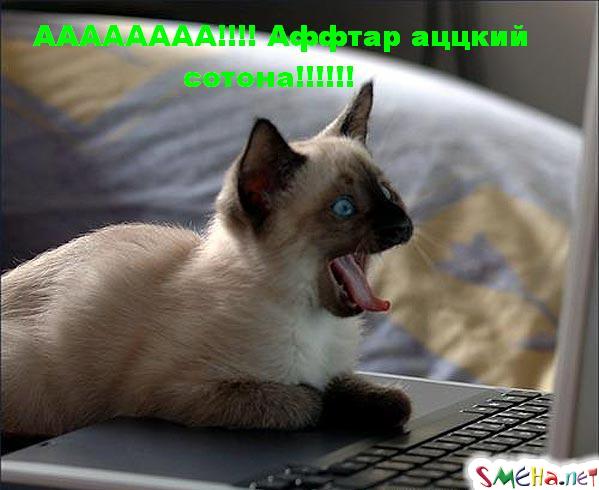 Коппьютерные фото приколы