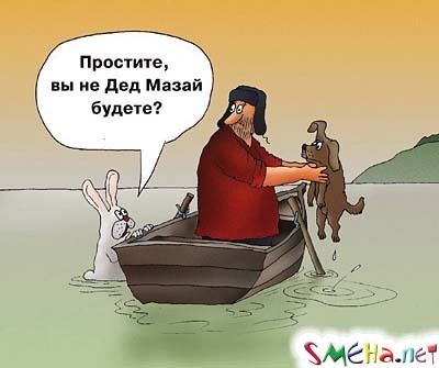 Прикольные фото