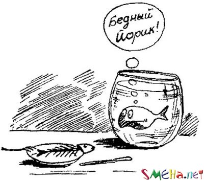 Чернушные фото приколы