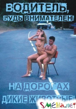 Прикольные фото