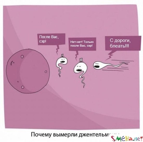 Почему вымерли джентельмены?