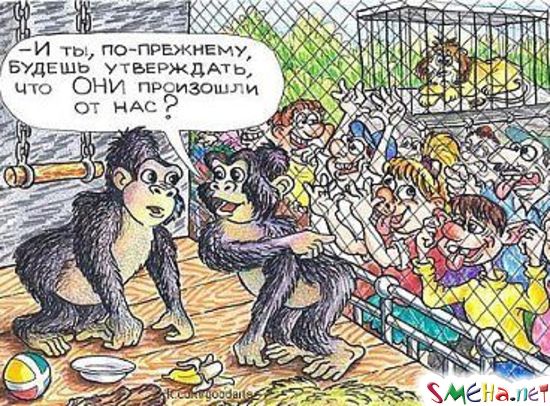 Картинки животных