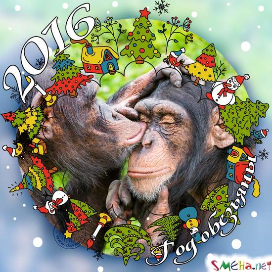 2016 год - год обезьяны