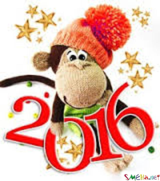 С Новым годом - годом огненной обезьяны!