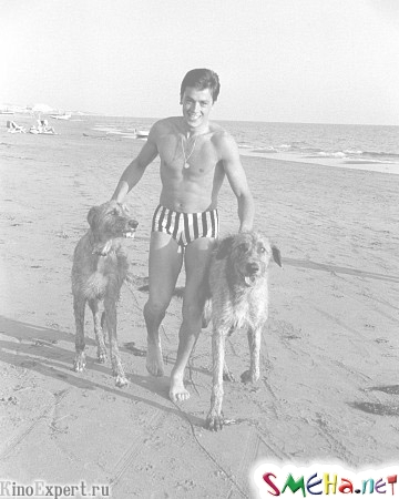 Ален Делон вместе с собаками